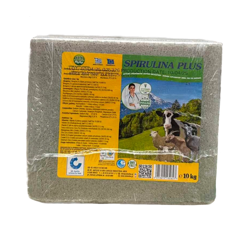 Minerální liz z mořské soli se spirulinou bohatou na vitamíny a esenciální živiny Minerální liz z mořské soli se spirulinou bohatou na vitamíny a esenciální živiny