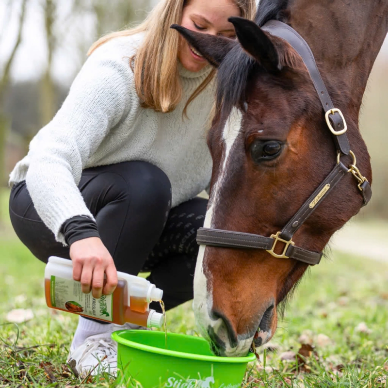 Stiefel Bylinný extrakt pro zdravý krevní oběh Stiefel Bylinný extrakt pro zdravý krevní oběh