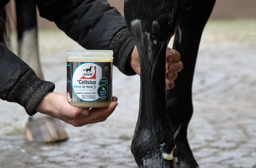 Chladivý gel s dlouhotrvajícím účinkem pro rychlou regeneraci unavených nohou Leovet Celsius Chladivý gel s dlouhotrvajícím účinkem pro rychlou regeneraci unavených nohou Leovet Celsius