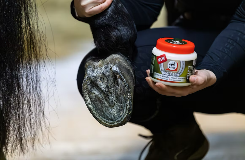 Olejový balzám na kopyta s biotinem a prebiotiky Huflab Balm Olejový balzám na kopyta s biotinem a prebiotiky Huflab Balm