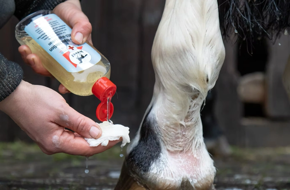 Mycí gel pro koně s citlivou nebo porušenou pokožkou Leovet Erste Hilfe MED-Waschlotion Mycí gel pro koně s citlivou nebo porušenou pokožkou Leovet Erste Hilfe MED-Waschlotion