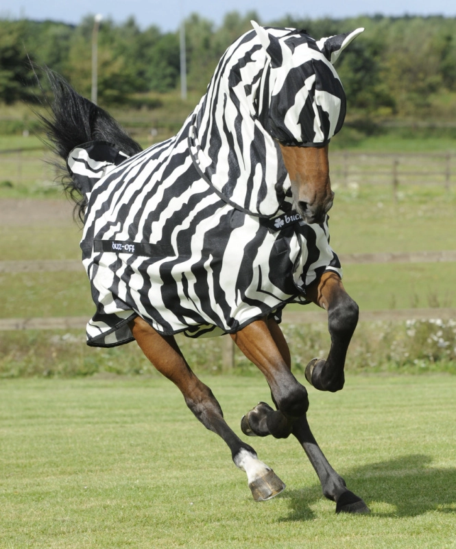 Bucas BuzzOff Zebra Full Neck síťovaná deka Bucas BuzzOff Zebra Full Neck síťovaná deka