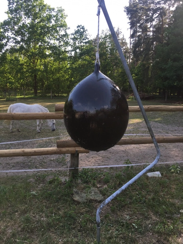 Sticky trap, pasti na hovada. Past exclusive - komplet dodávka stojan smíčem a lepidlem Sticky trap, pasti na hovada. Past exclusive - komplet dodávka stojan smíčem a lepidlem