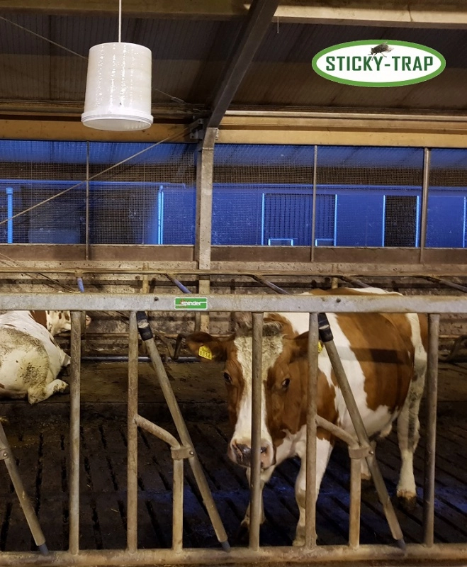 Sticky Trap Past na mouchy a hovada - bílý kyblík Sticky Trap Past na mouchy a hovada - bílý kyblík