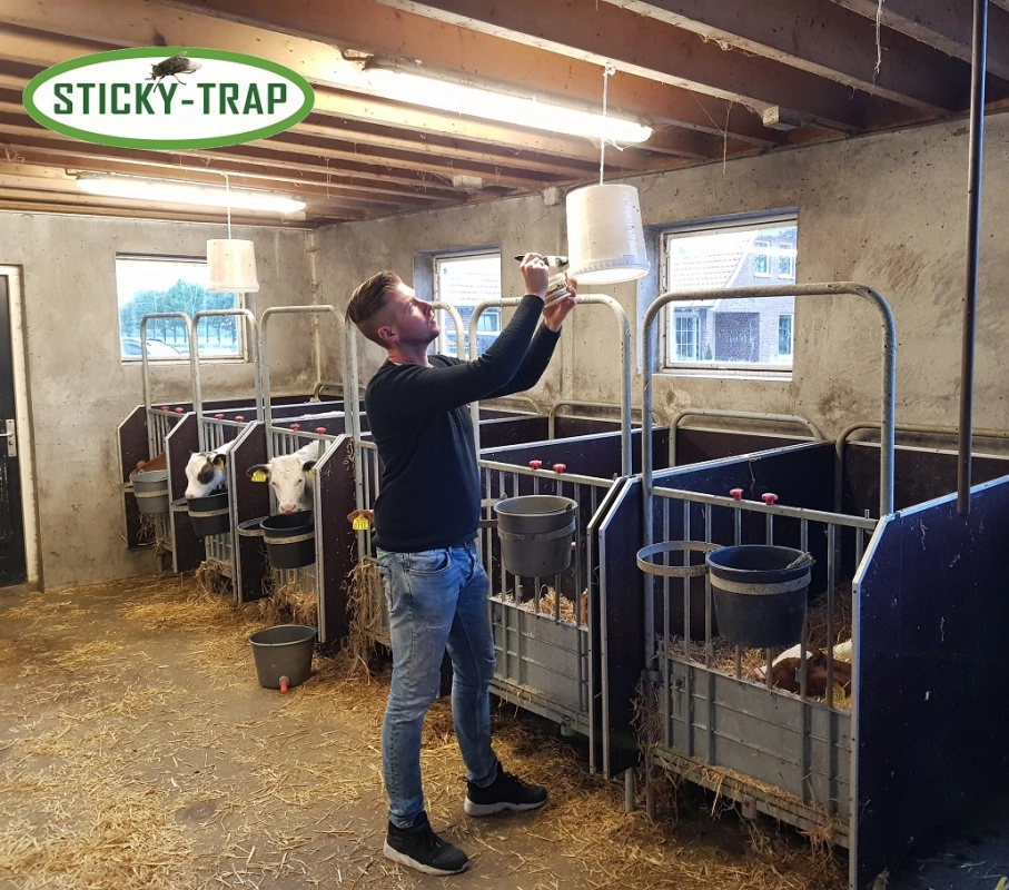 Sticky Trap Past na mouchy a hovada - bílý kyblík Sticky Trap Past na mouchy a hovada - bílý kyblík