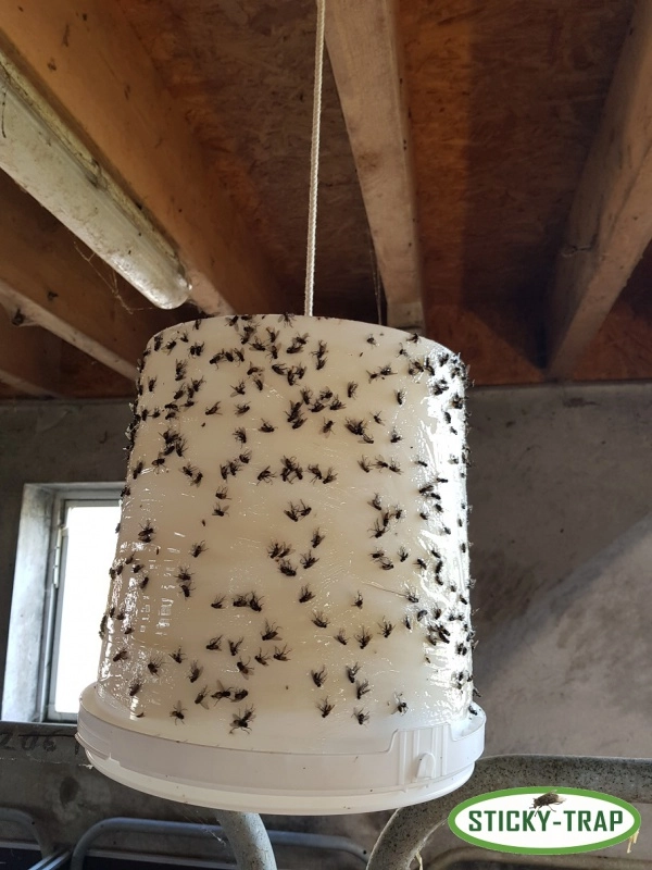 Sticky Trap Past na mouchy a hovada - bílý kyblík Sticky Trap Past na mouchy a hovada - bílý kyblík