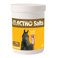 NAF Electro Salts, elektrolyty v prášku pri nadmernom potení