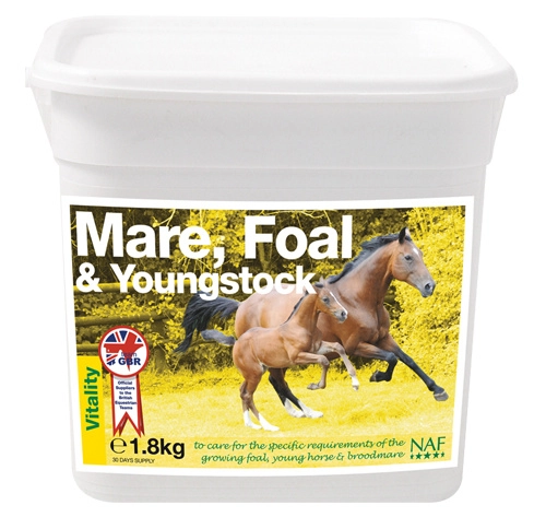 NAF Mare and foal, youngstock NAF Mare and foal, youngstock