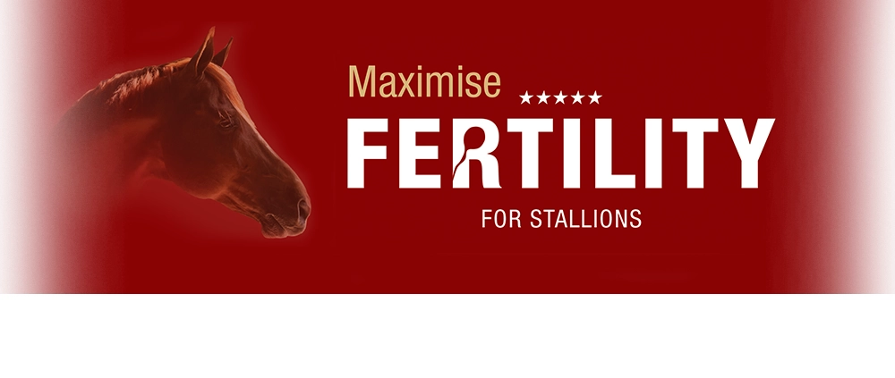 Fertilty pro plemenné hřebce pro vylepšení výsledků připouštění Fertilty pro plemenné hřebce pro vylepšení výsledků připouštění