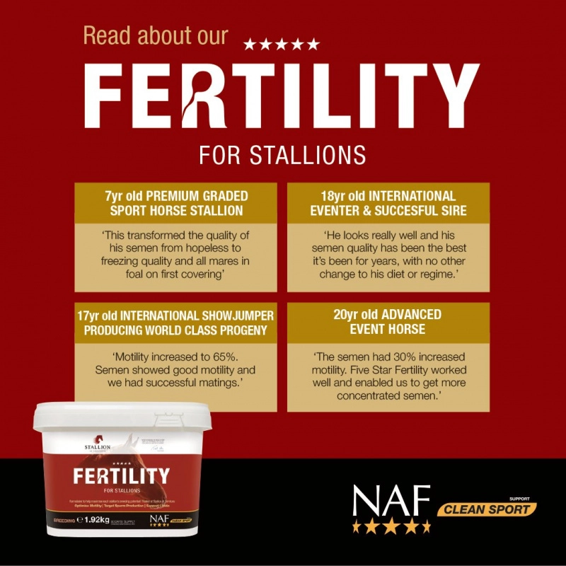 Fertilty pro plemenné hřebce pro vylepšení výsledků připouštění Fertilty pro plemenné hřebce pro vylepšení výsledků připouštění