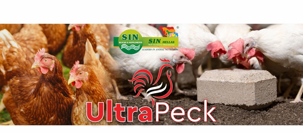 Minerální liz z mořské soli s vitamíny a minerály pro drůbež Ultra Peck EKO Minerální liz z mořské soli s vitamíny a minerály pro drůbež Ultra Peck EKO