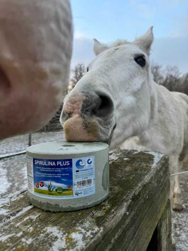 SIN Hellas Minerální liz z mořské soli se spirulinou bohatou na vitamíny a esenciální živiny SIN Hellas Minerální liz z mořské soli se spirulinou bohatou na vitamíny a esenciální živiny