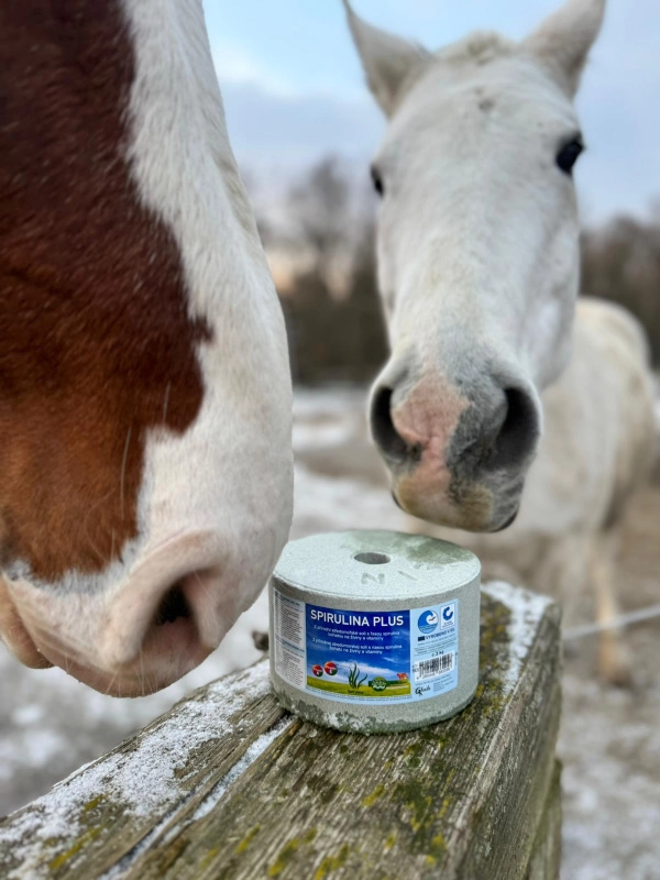 SIN Hellas Minerální liz z mořské soli se spirulinou bohatou na vitamíny a esenciální živiny SIN Hellas Minerální liz z mořské soli se spirulinou bohatou na vitamíny a esenciální živiny