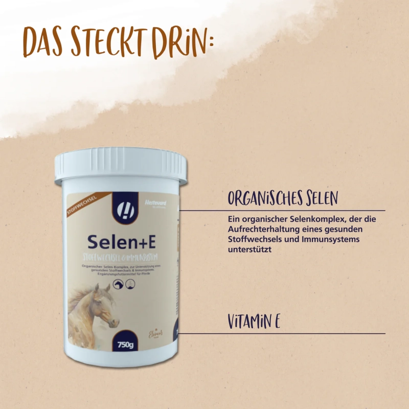 Selen + E na podporu imunity a metabolismu s organicky vázanými minerály a vitamíny Selen + E na podporu imunity a metabolismu s organicky vázanými minerály a vitamíny