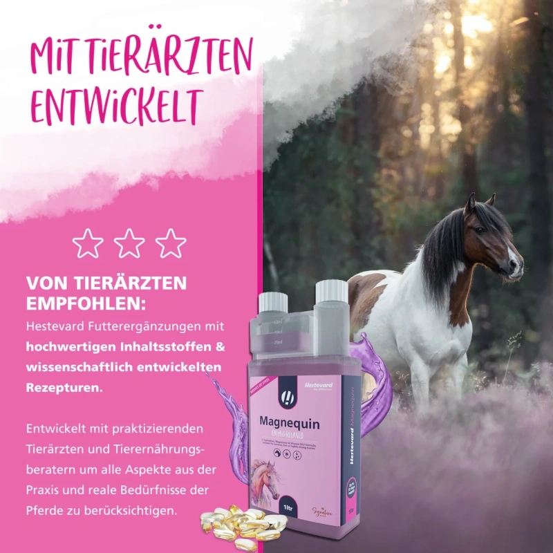 Hestevard Magnequin s L-tryptofanem, hořčíkem a vitamínem B12 pro klid a uvolnění Hestevard Magnequin s L-tryptofanem, hořčíkem a vitamínem B12 pro klid a uvolnění