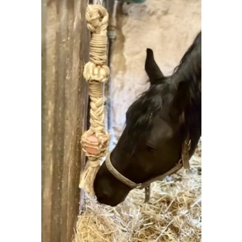 HryzLiz trvanlivá hračka pro koně do boxu i ven s minerálním lizem Lolly Lick