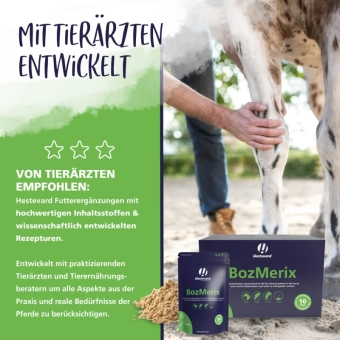 Hestevard Přirozeně protizánětlivý Veterinary Bozmerix pro koně na akutní bolest