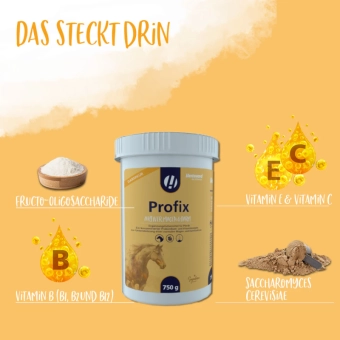 Hestevard Koncentrovaný probiotický a vitamínový komplex Veterinary Profix