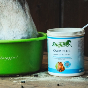 Stiefel Calm Plus pro podporu růstu a ve stresových situacích