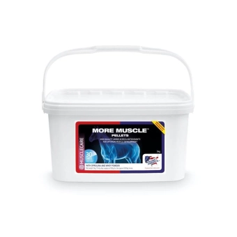 More Muscles pro snadnou tvorbu silných a zdravých svalů s lysinem a leucinem, Balení 3 kg