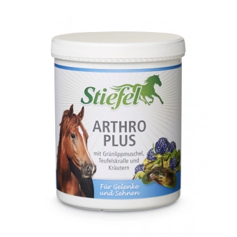 Arthro plus - Výkonná směs pro podporu pohybového aparátu