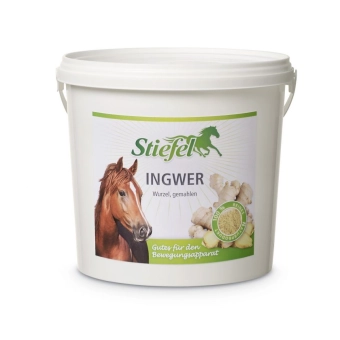 Stiefel Zázvor pro zdravý pohybový aparát, kyblík 1 kg