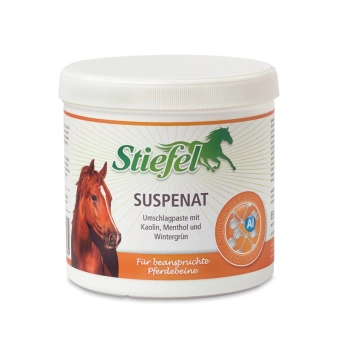 Stiefel Suspenát pasta na šlachy pro namáhané nohy, balení 2 kg