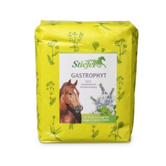 Stiefel Gastrophyt, byliny pro regulaci žaludečního a střevního traktu, sáček 1 kg byliny řezané