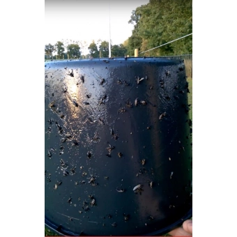 Sticky trap Past na ovády 3,5l