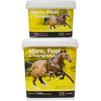 NAF Mare and foal, youngstock