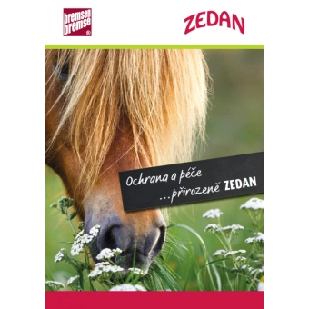 Katalog produktů Zedan 2021, ks