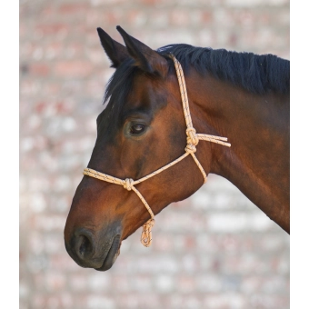 Provazová ohlávka meruňková, Pony