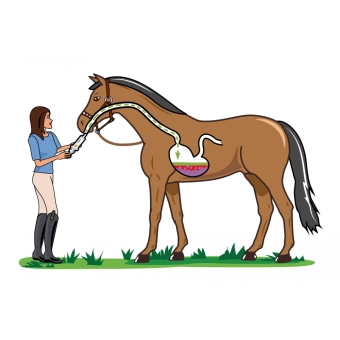 Pasta na zklidnění vašeho koně s hořčíkem Equine 74 Calmrelax