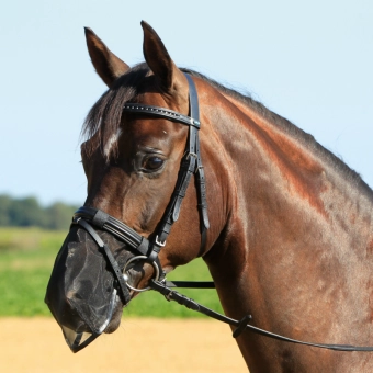 Síťka na nos Fly Protector, Pony/Cob