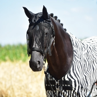 Náušáky s třásněmi Fly Protector, Pony