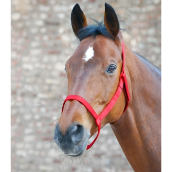 Pastevní ohlávka (bez kovových částí) červená, Pony