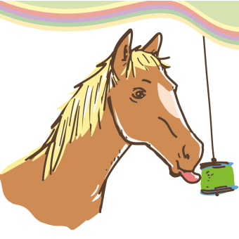 Koňské lízátko Lolly-Lick - zdravé lízátko pro koně
