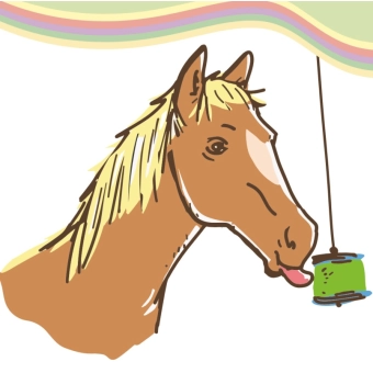 Koňské lízátko Lolly-Lick - zdravé lízátko pro koně