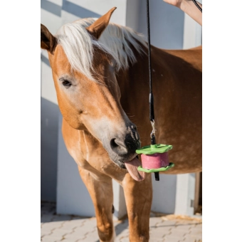 Držák na Koňské lízátko Lolly Lick