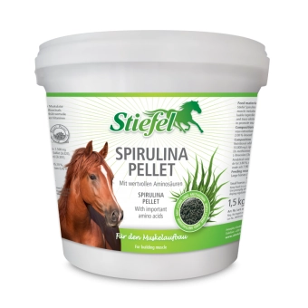 VÝPRODEJ - Spirulina pro nasvalení a svalový metabolismus, Kyblík 1,5 kg