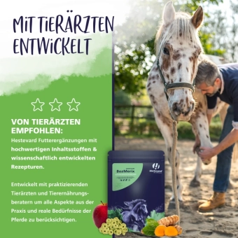 Bozmerix - revoluční Vitamlsky proti zánětům a pro zdravé klouby